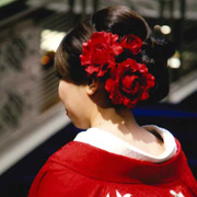 Photo Galleryの画像9